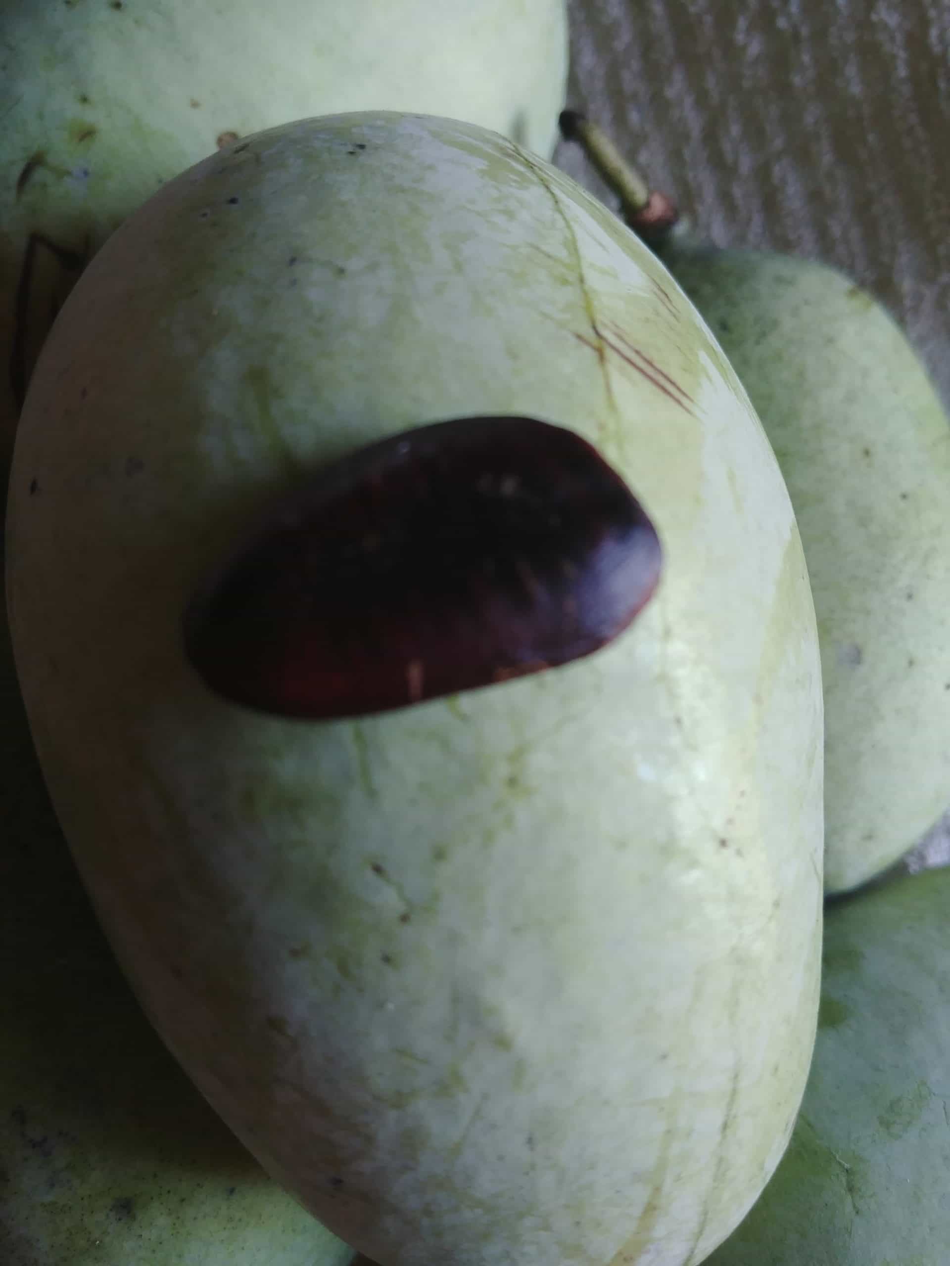 Product thumbnail #1