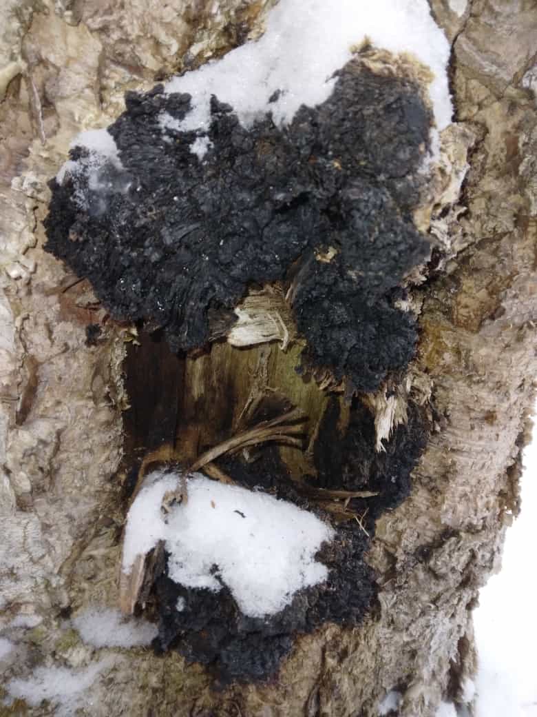 Product thumbnail #10