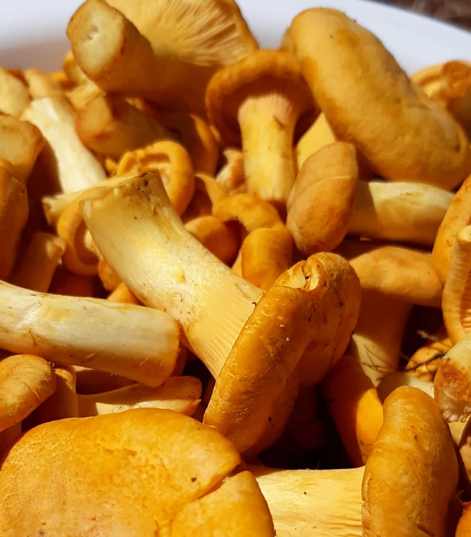 Product thumbnail #2