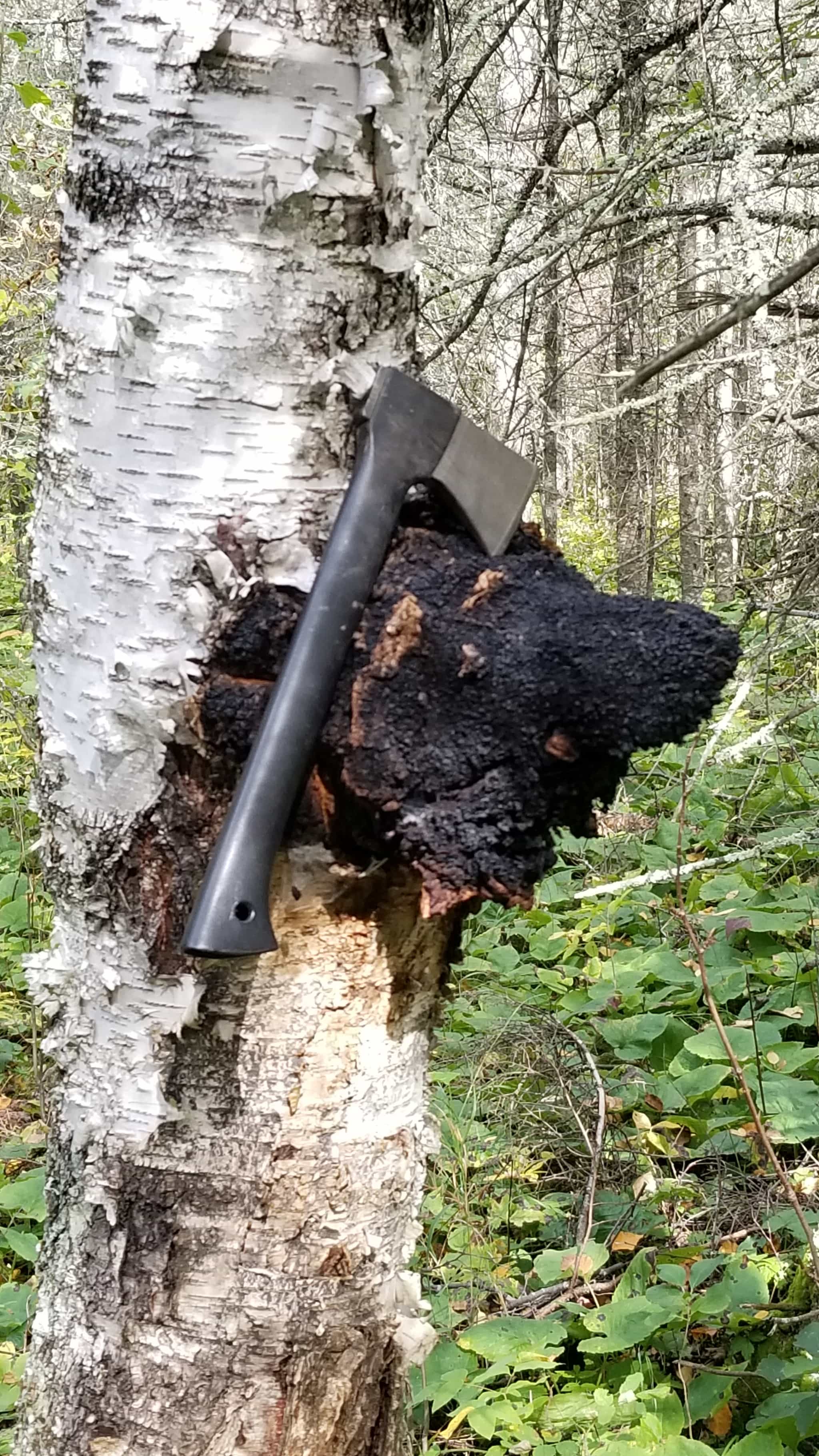 Product thumbnail #2