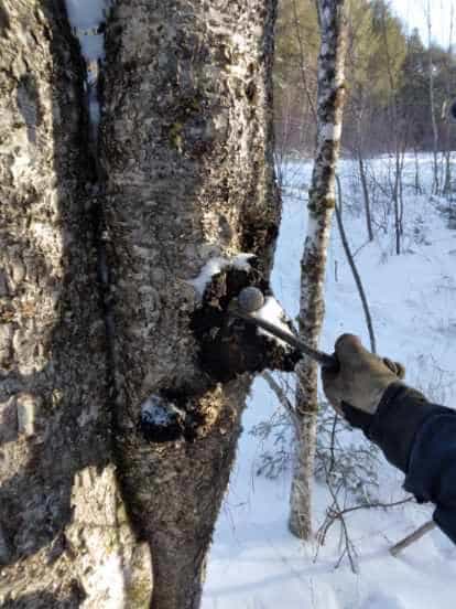 Product thumbnail #9