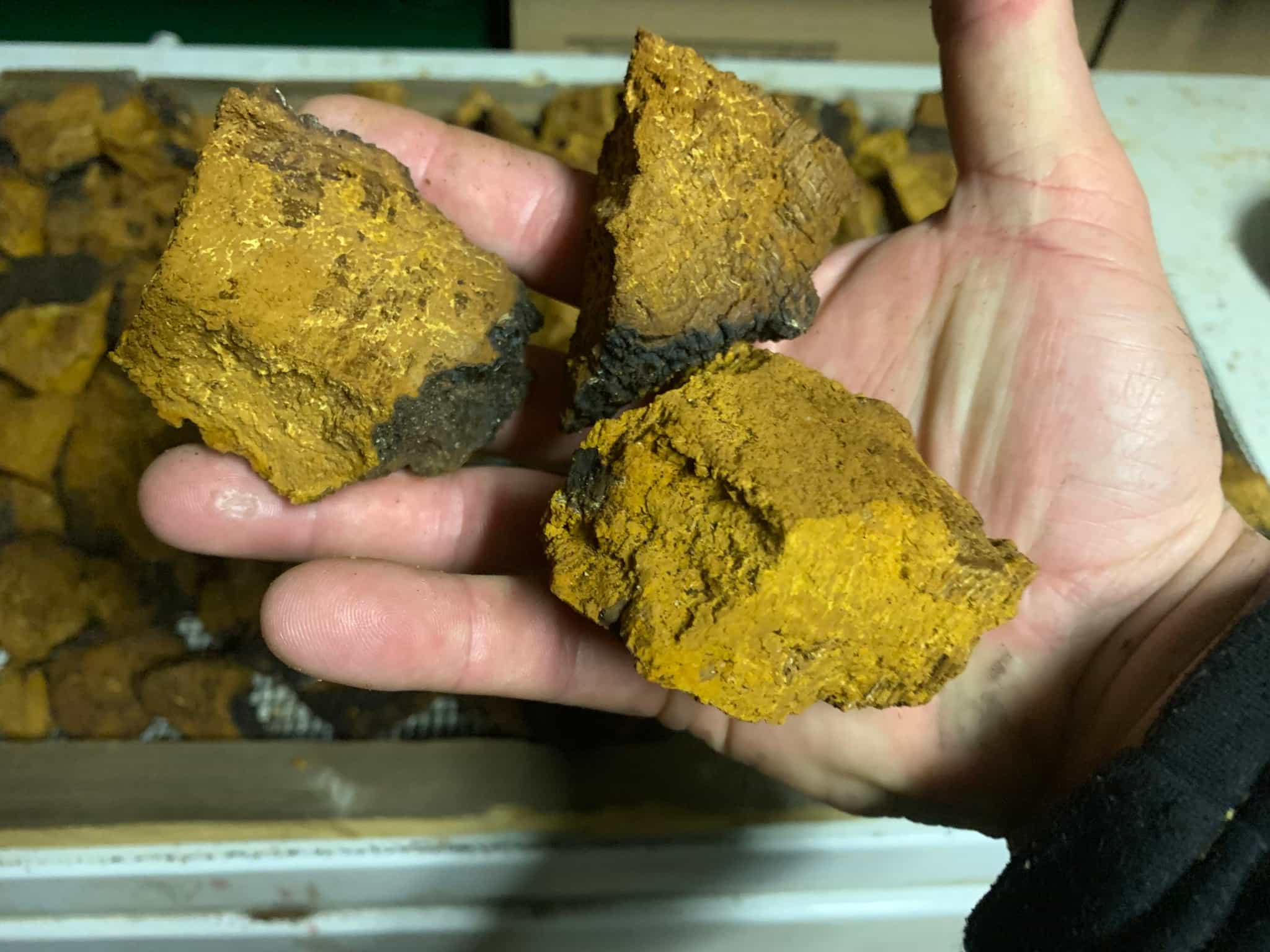 Product thumbnail #1