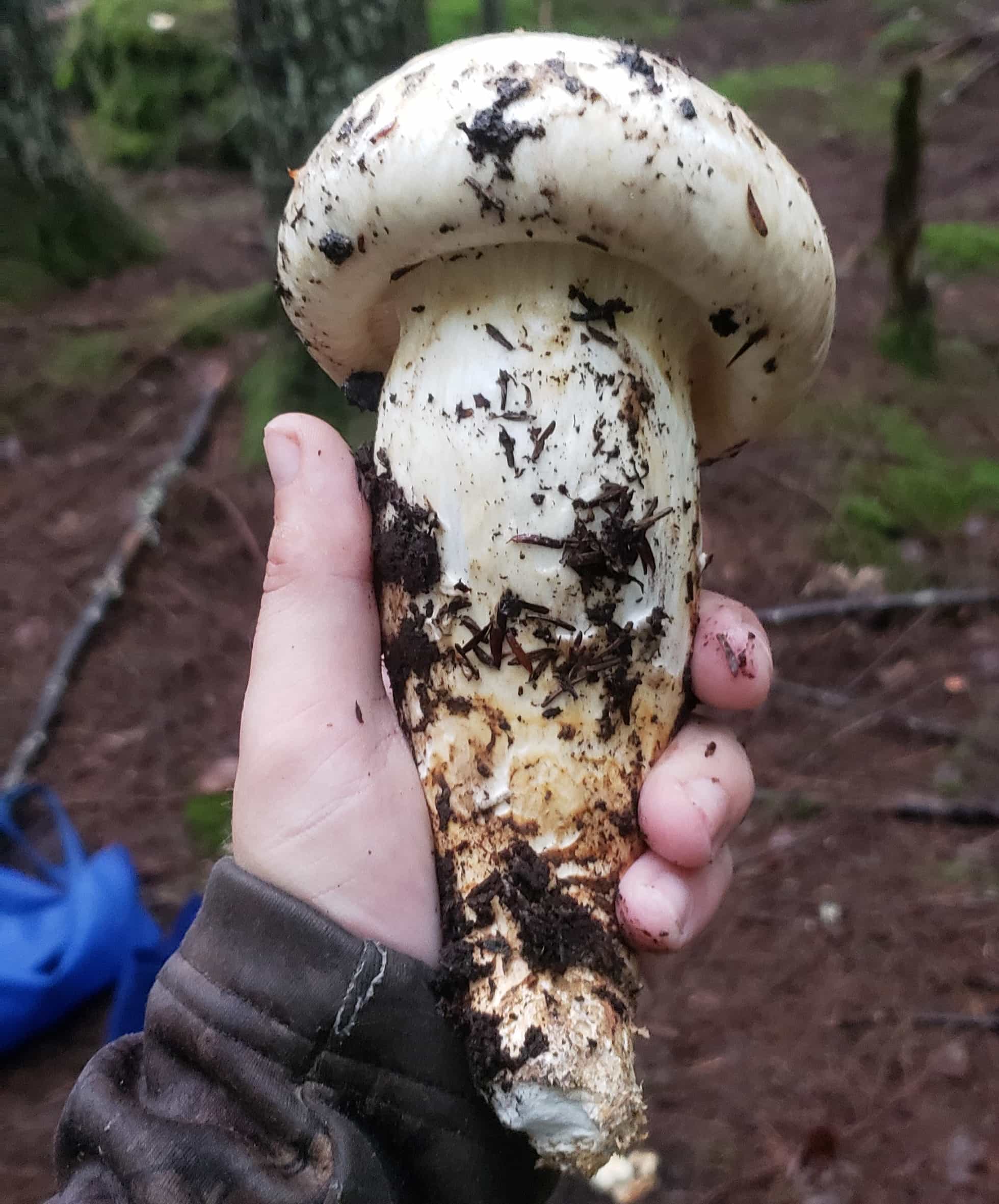 Product thumbnail #1