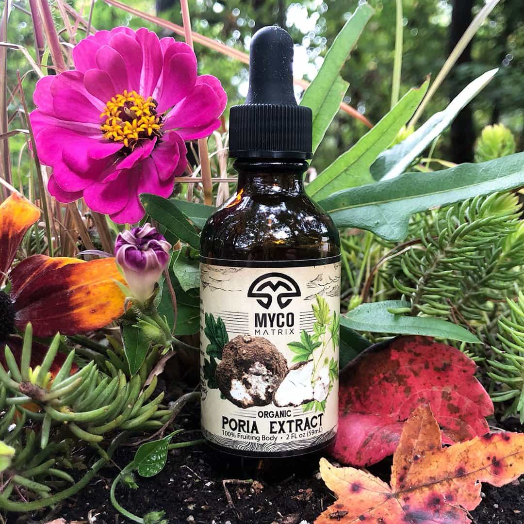 Product thumbnail #2