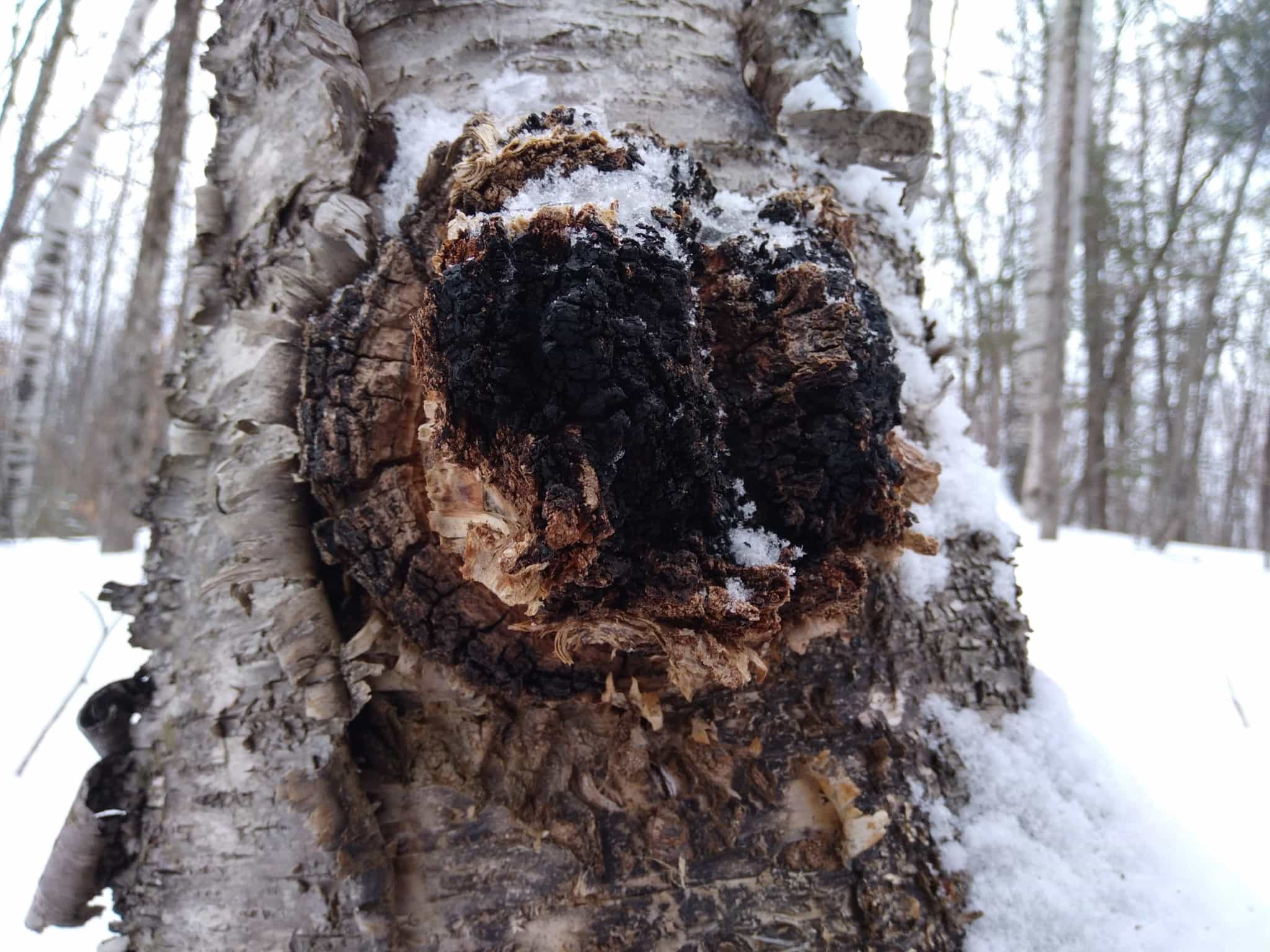 Product thumbnail #1