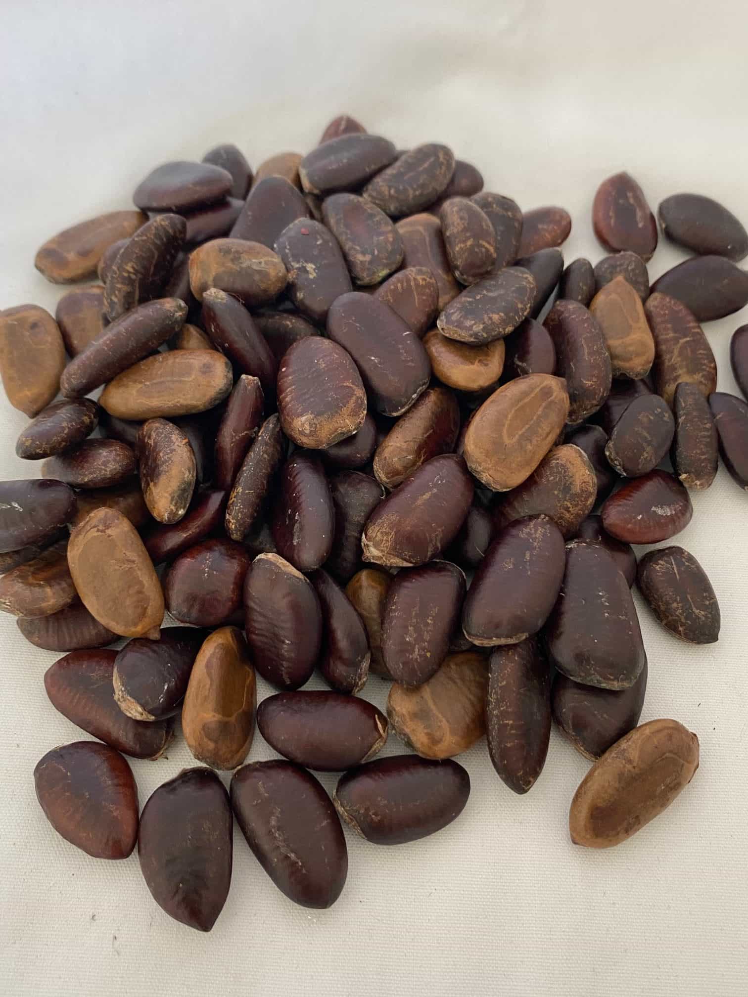 Product thumbnail #1