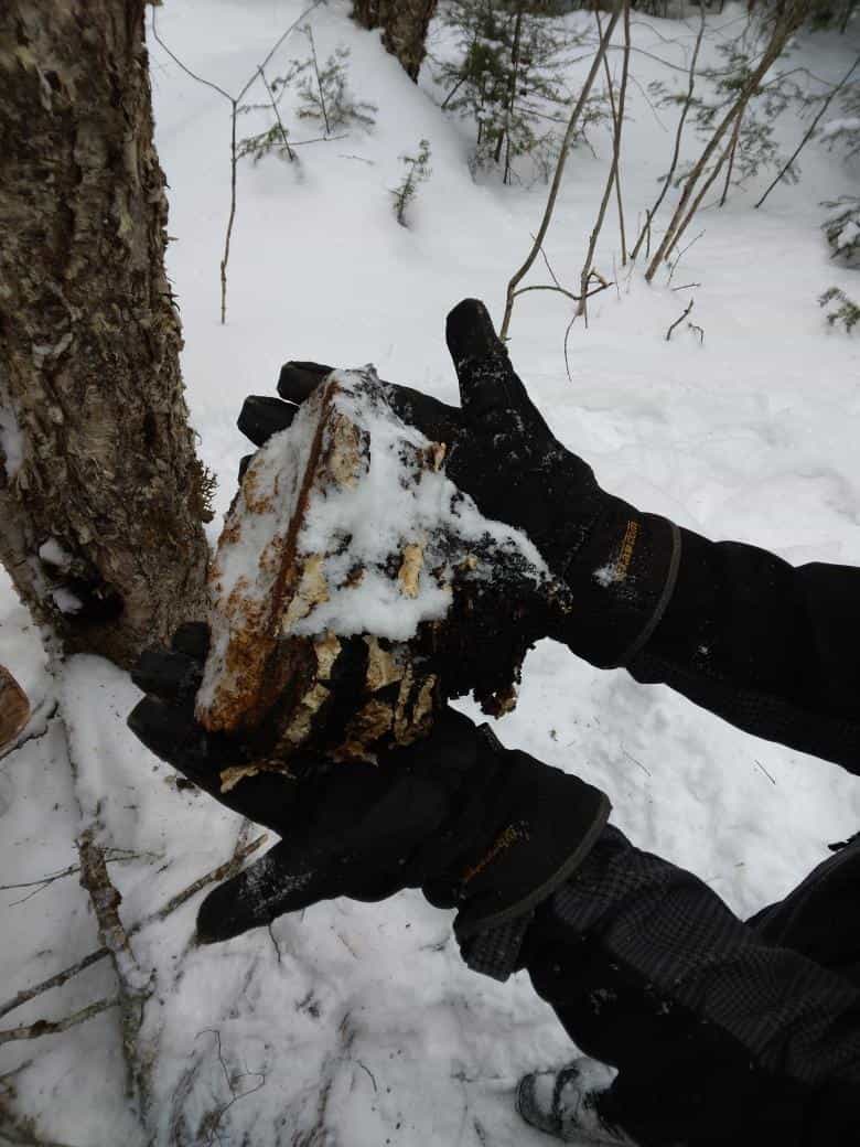 Product thumbnail #3