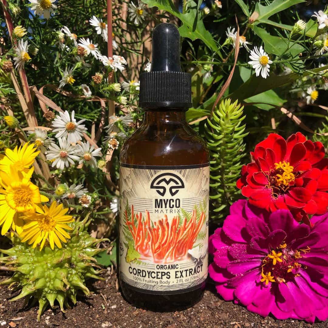 Product thumbnail #1