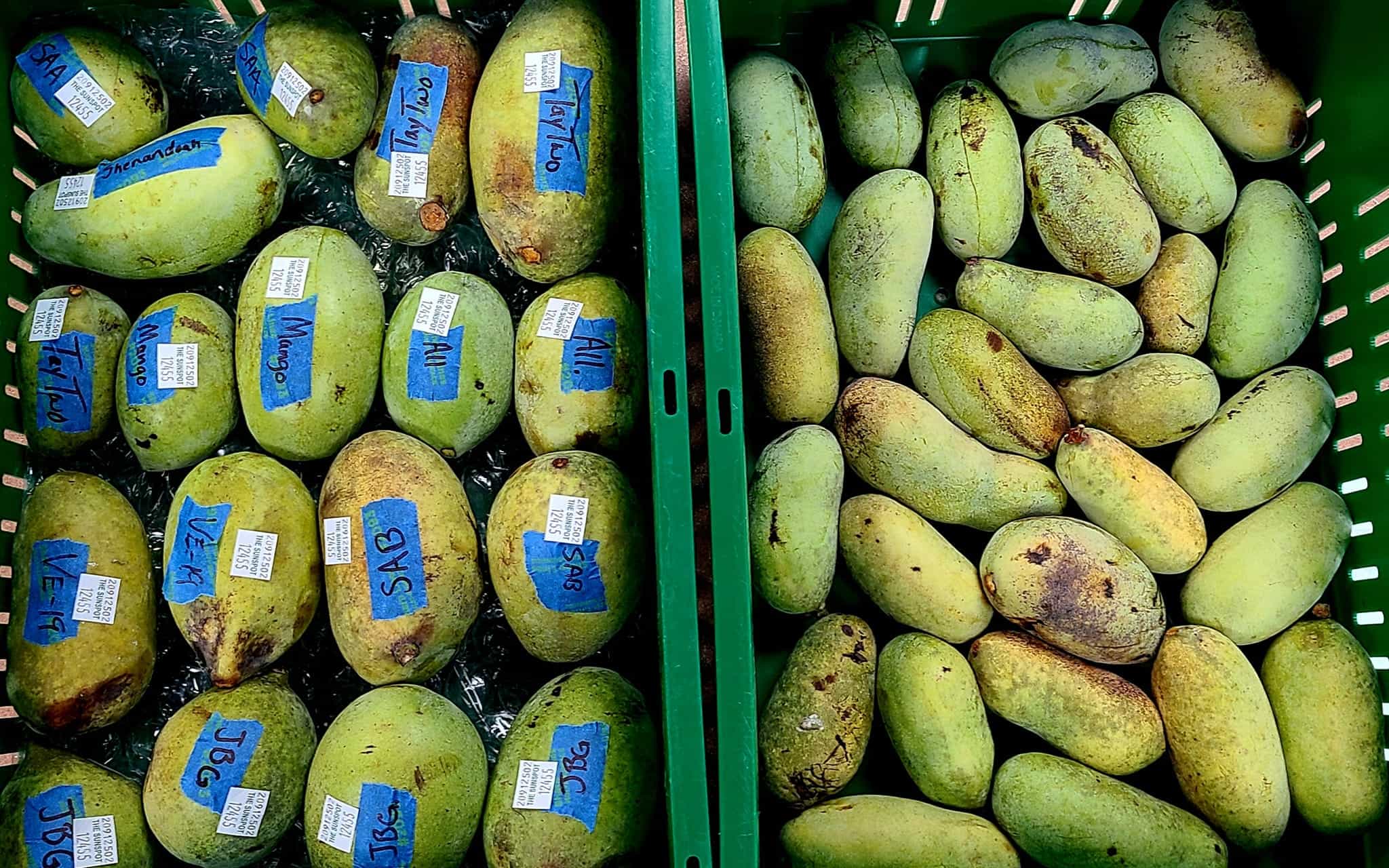 Product thumbnail #4