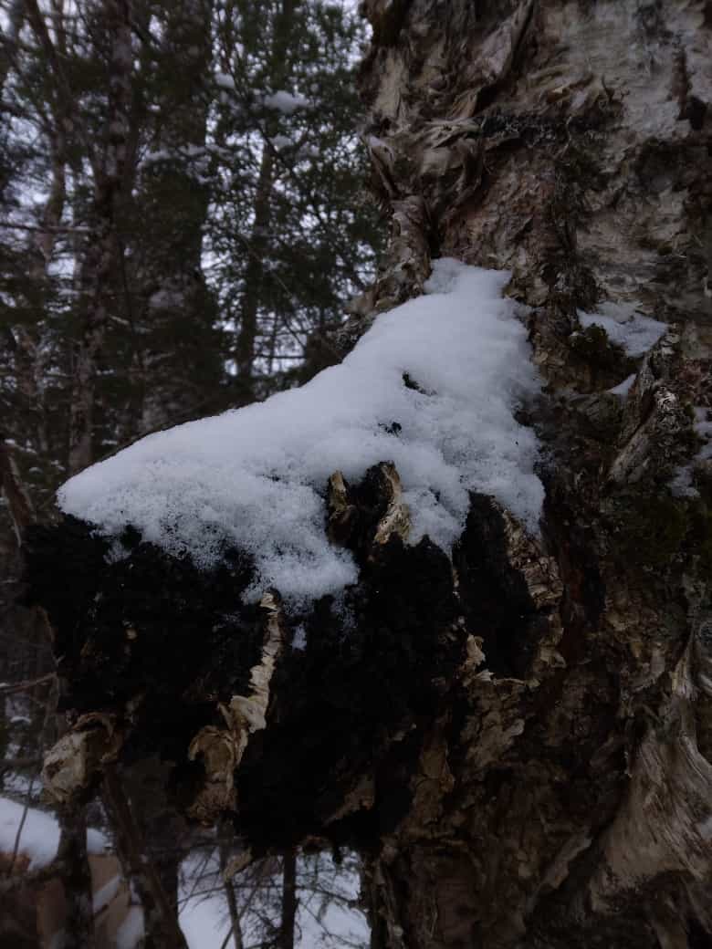 Product thumbnail #4