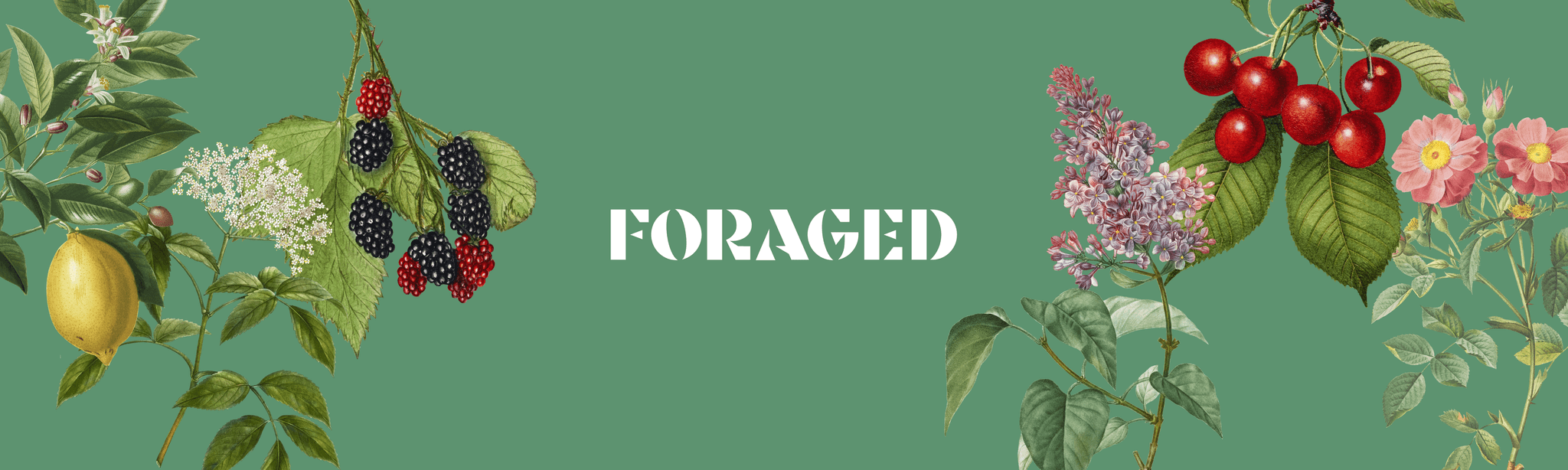 foraged test store 2's banner