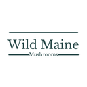 Wild Maine Mushrooms