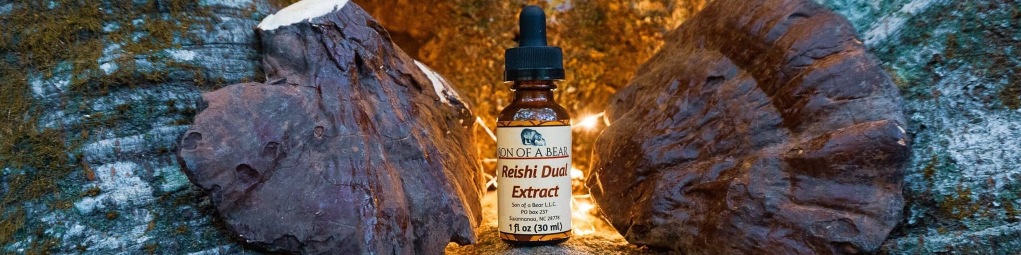 Son of a Bear's banner