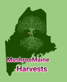 MushrooMaine Harvests