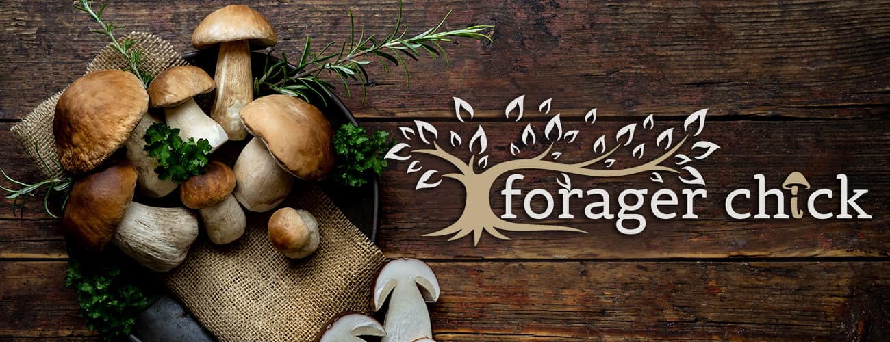 Forager Chick's banner