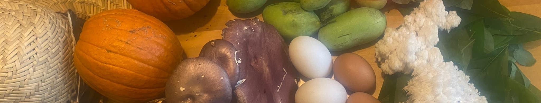 The Foraging Farm's banner