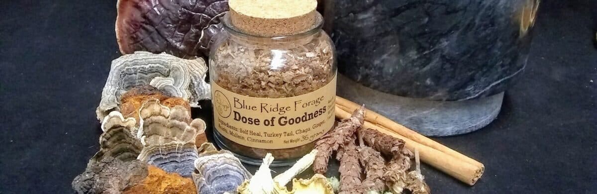 Blue Ridge Forage's banner