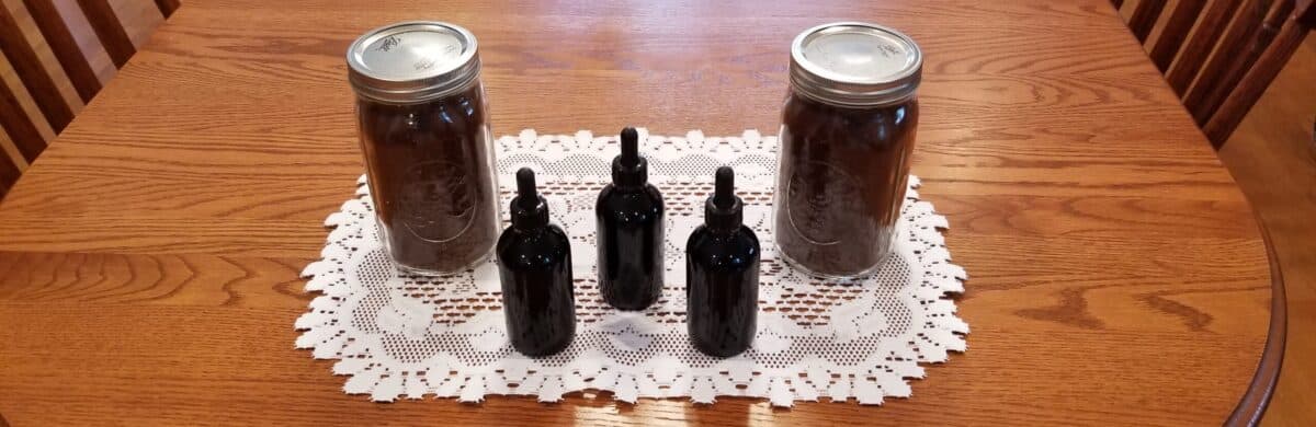 Lake Superior Chaga's banner