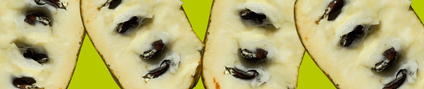 Ohio Pawpaw Festival's banner