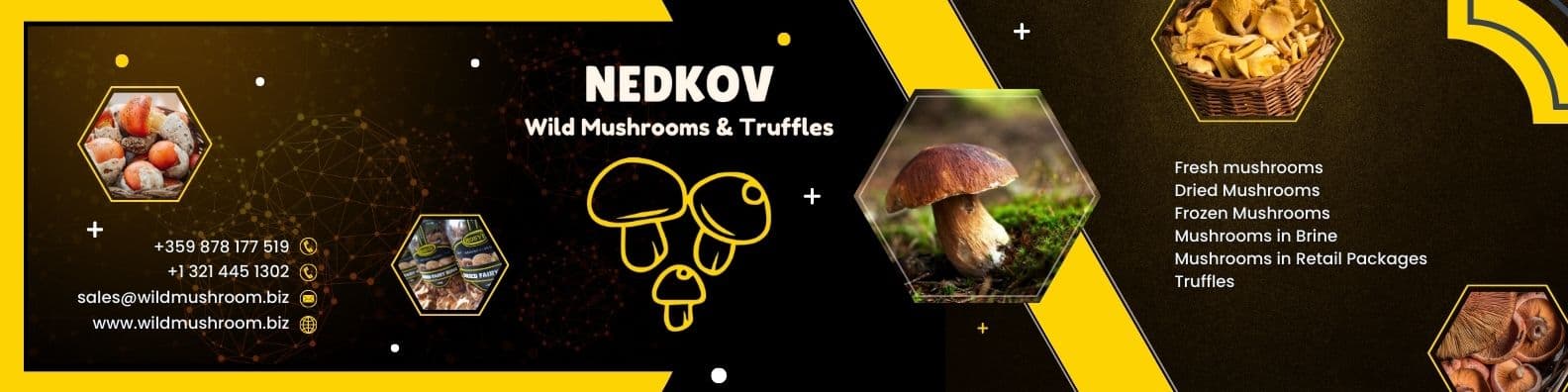 Wild Mushroom Ltd's banner