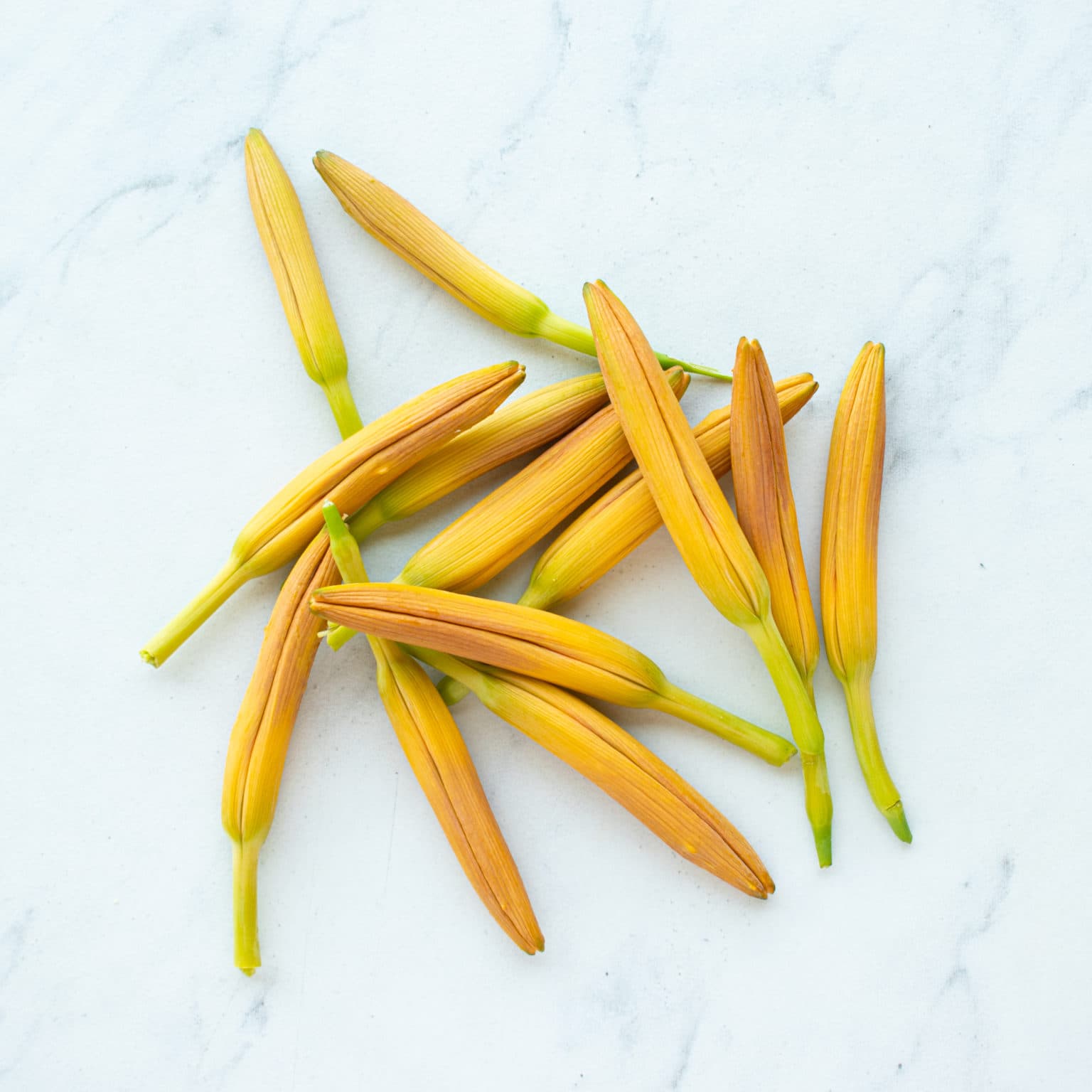 Collect daylily buds