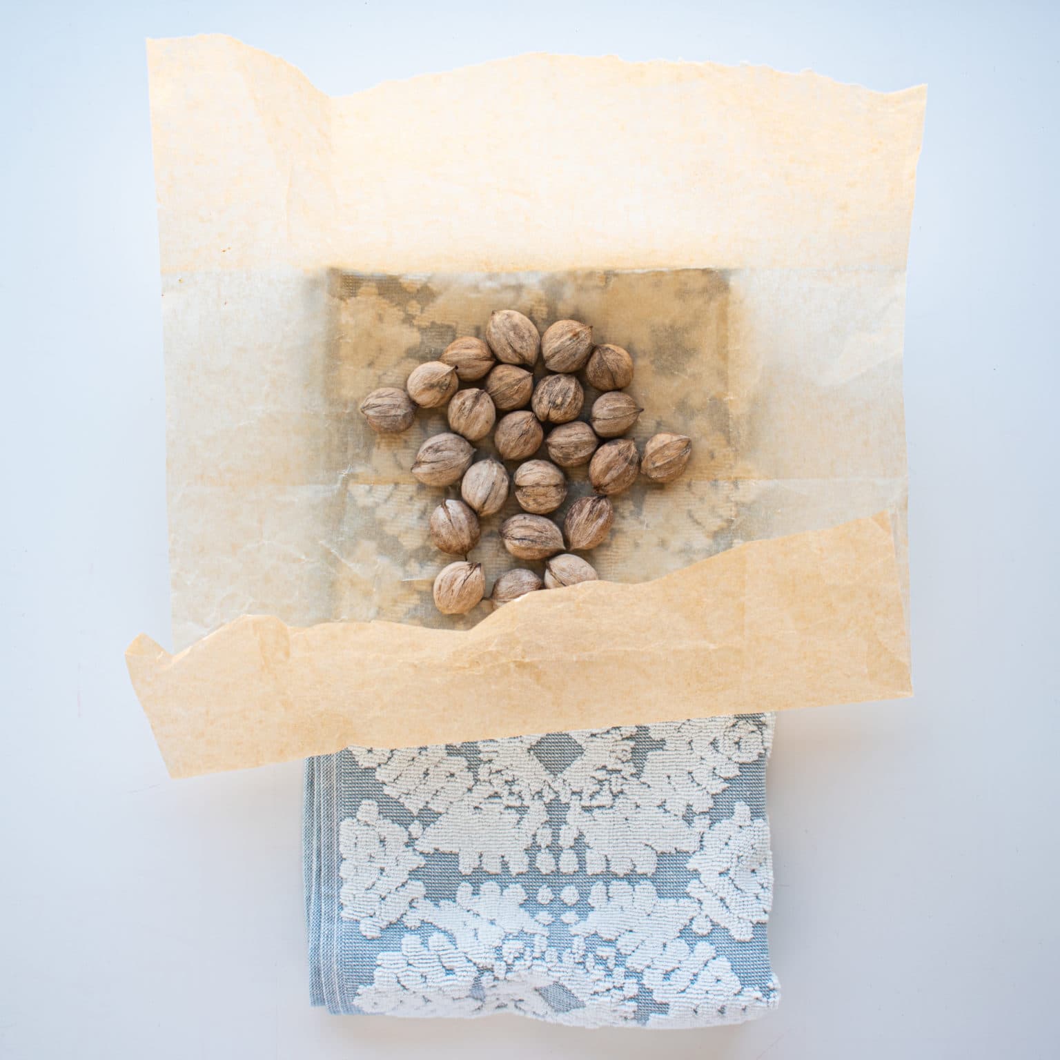 Put the nuts in a towel - we have them in parchment for easy handling
