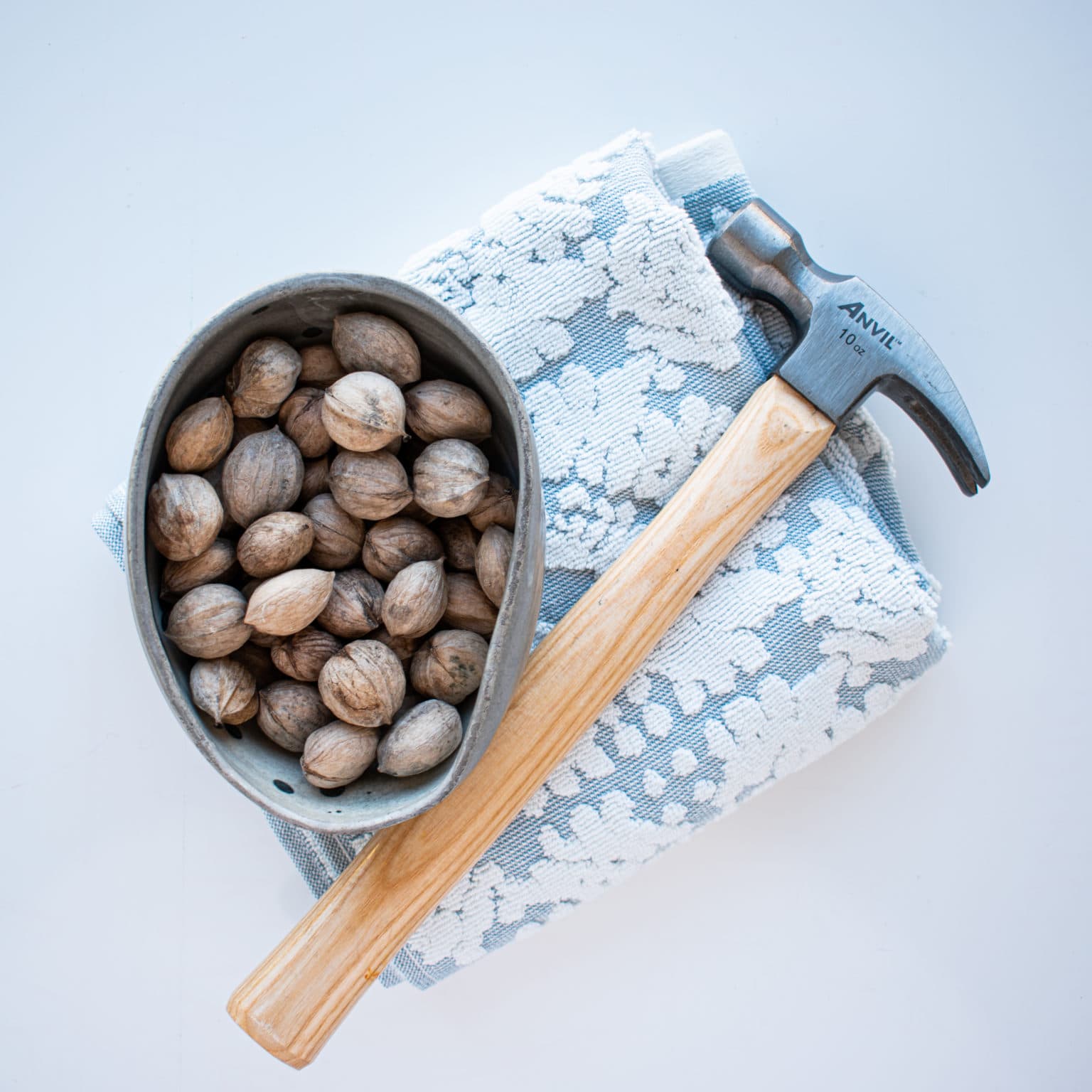 The shells are quite tough