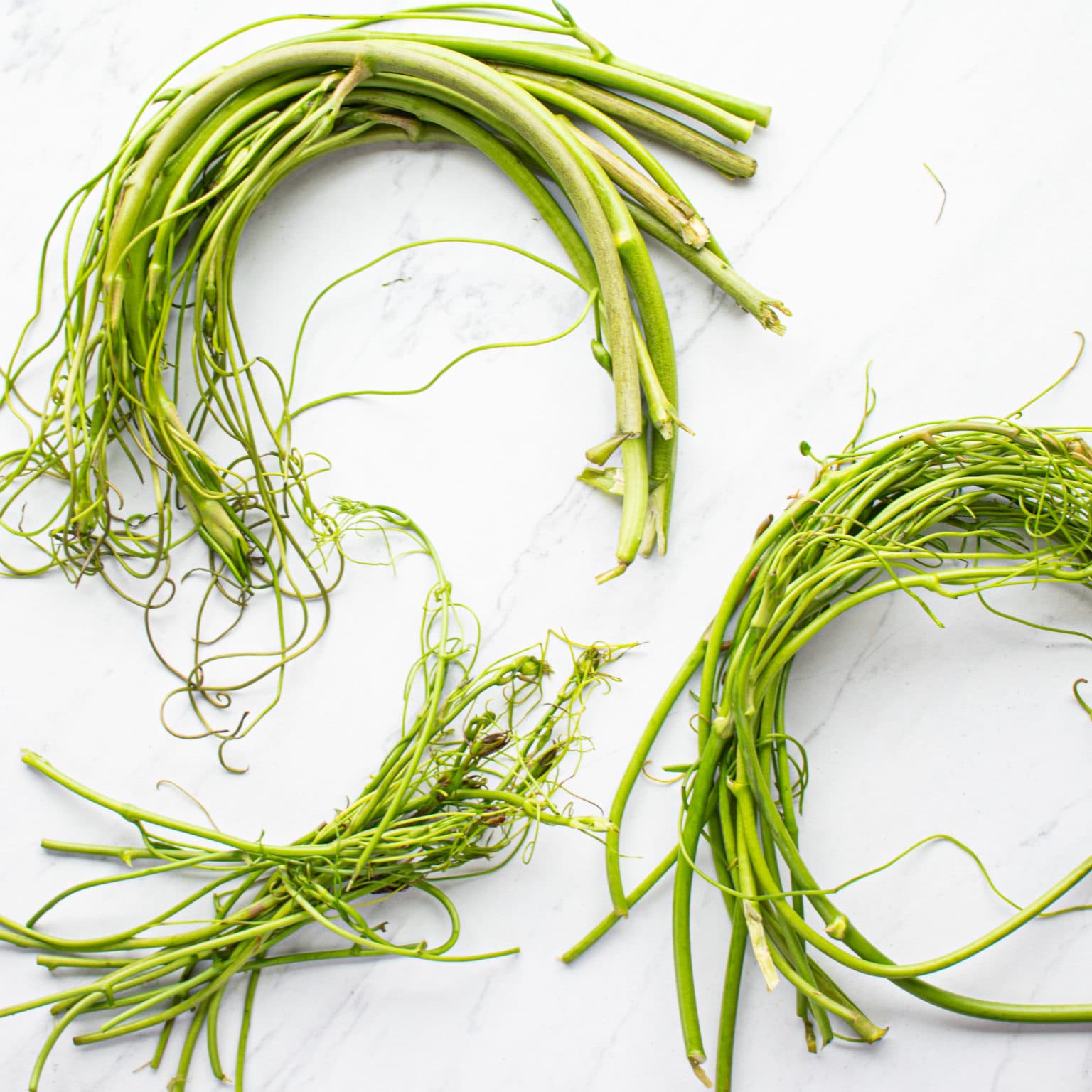 Sort the shoots into different thicknesses